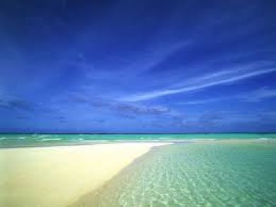 Siesta Key Beaches